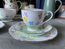 Load image into Gallery viewer, Vintage Hand Painted Royal Grafton Bone China Tea Set Spring Flowers Easter