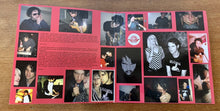 Load image into Gallery viewer, Digital Leather S/T Vinyl LP Record RLR 064 2009 Punk Electro