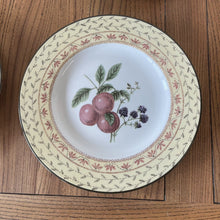 Load image into Gallery viewer, 4x Johnson Brothers Fruit Sampler Luncheon Plates Plums 9” Diameter