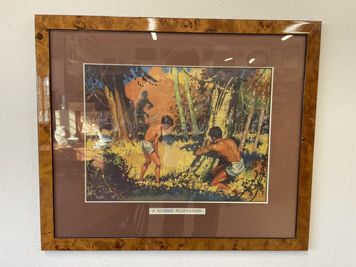 1930s William Fyffe School Poster “A Rubber Plantation” In Burr Walnut Frame