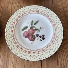 Load image into Gallery viewer, 6x Johnson Brothers Fruit Sampler Luncheon Plates Plums 9” Diameter