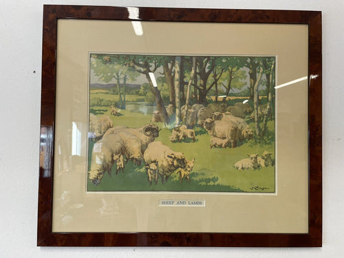 1930s Kay Nixon School Poster “Sheep And Lambs” In Burr Walnut Frame